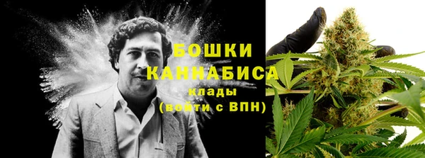 гидропоника Балахна