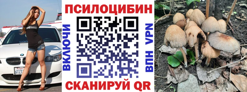 Галлюциногенные грибы мицелий  MEGA ссылки  Отрадная 